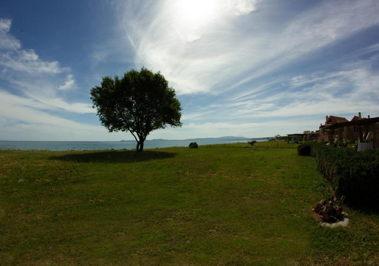 Beachfront Stylish Maisonette In Ierissos Dış mekan fotoğraf